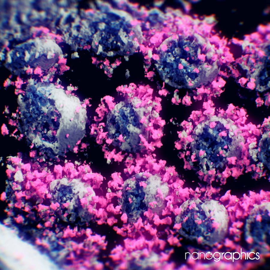 Qual a real aparência do coronavírus (SARS-CoV-2)?