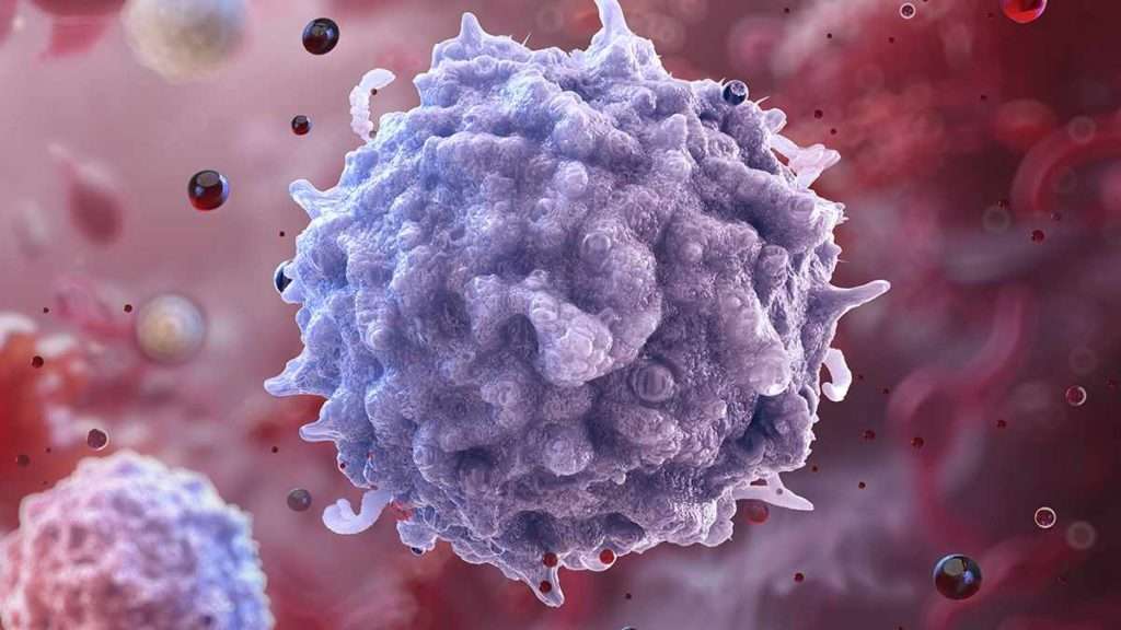 Cientistas Podem Ter Descoberto como Rejuvenescer o Sistema Imunológico