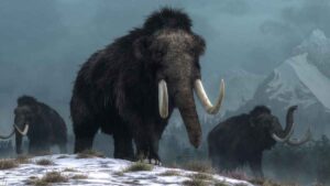 descoberta-de-ferramentas-de-marfim-de-mamut-redef