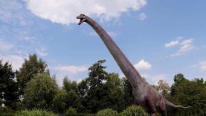 Dinossauros e Mamíferos