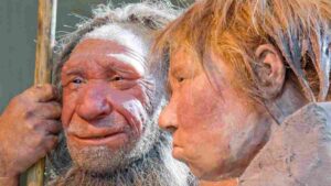 DNA Neandertal