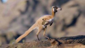 dinossauro de 900g