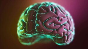 ondas cerebrais memória