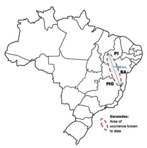 vidro no cerrado