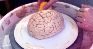 plasticidade neural