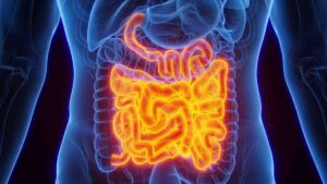 proteína intestino
