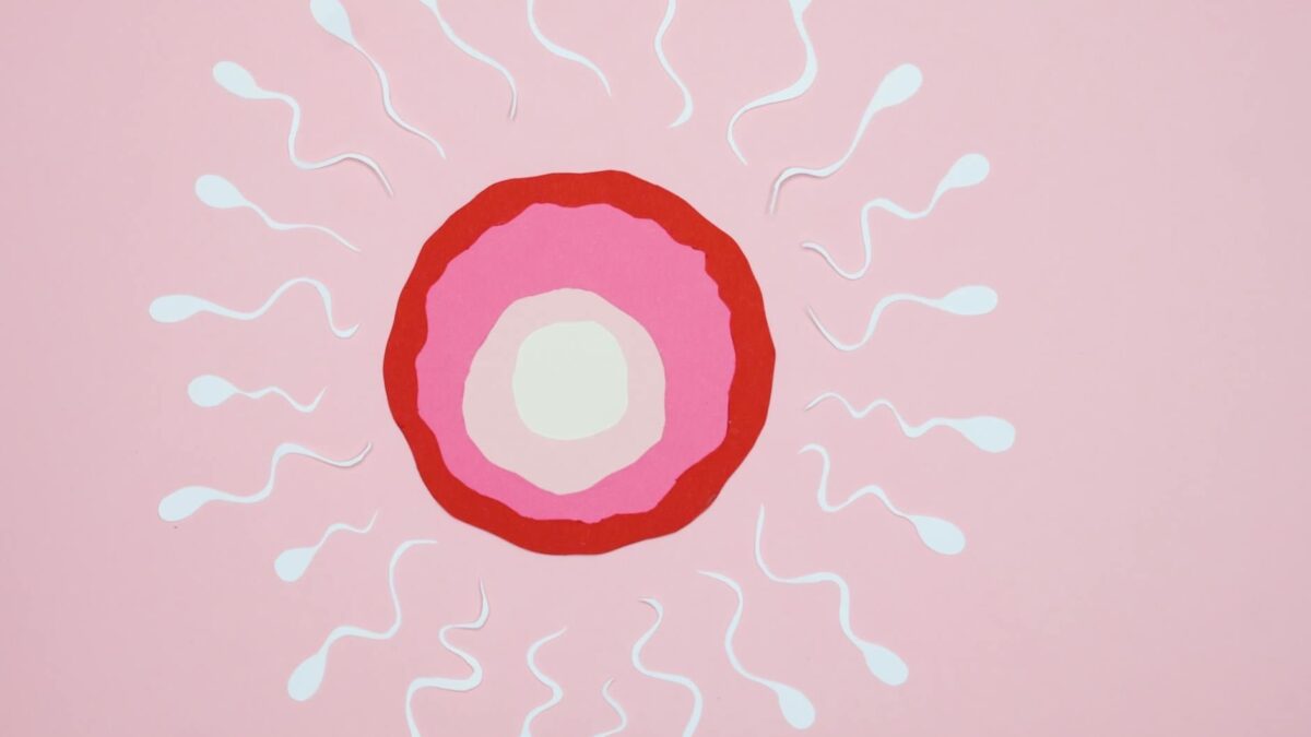 Ilustração científica mostrando espermatozoides rodeando um ovulo.
