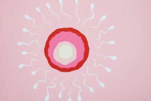 Ilustração científica mostrando espermatozoides rodeando um ovulo.