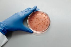 Representação científica de mutações genéticas em levedura durante experimento evolutivo controlado