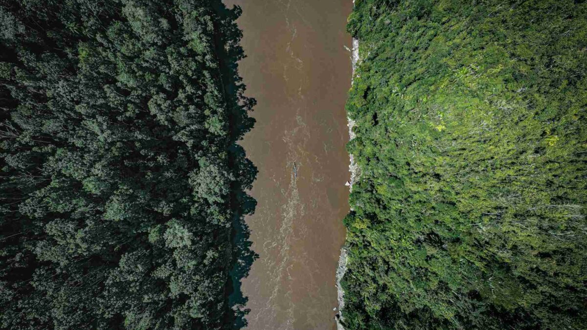 Satélite mostrando redução do desmatamento na Floresta Amazônica brasileira