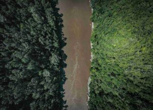 Satélite mostrando redução do desmatamento na Floresta Amazônica brasileira