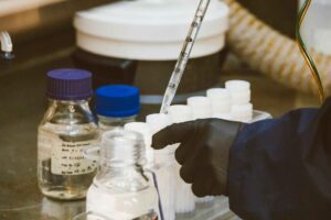 Rato em laboratório durante procedimento de pesquisa em regeneração biológica