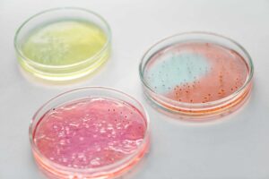 Colônia de bactérias visualizada ao microscópio em tons azulados